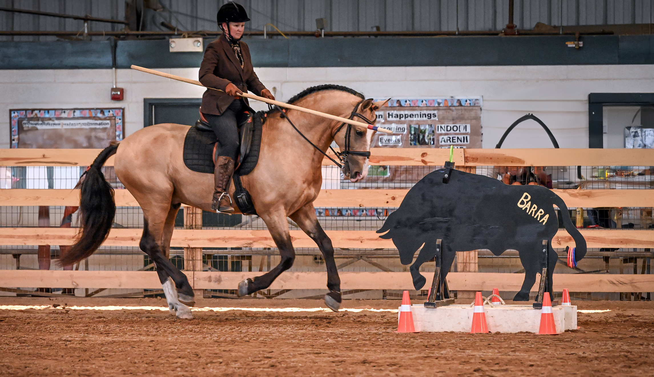 Amie-Perryman-Golondrino-HB-Aster-Equine-Photography-NOVAWE-June-2024-L3-Bull-Line-small