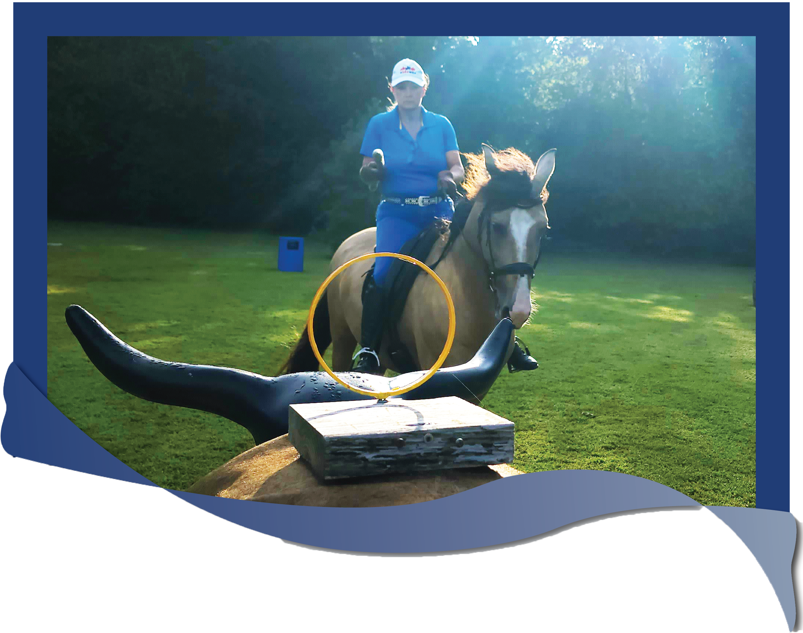 HeaderImageBlueRibbonAmieSpearBullBayo