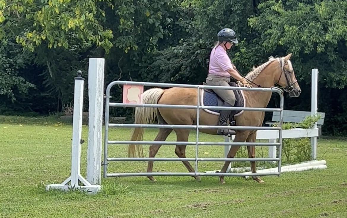 Amie Perryman Open Gate