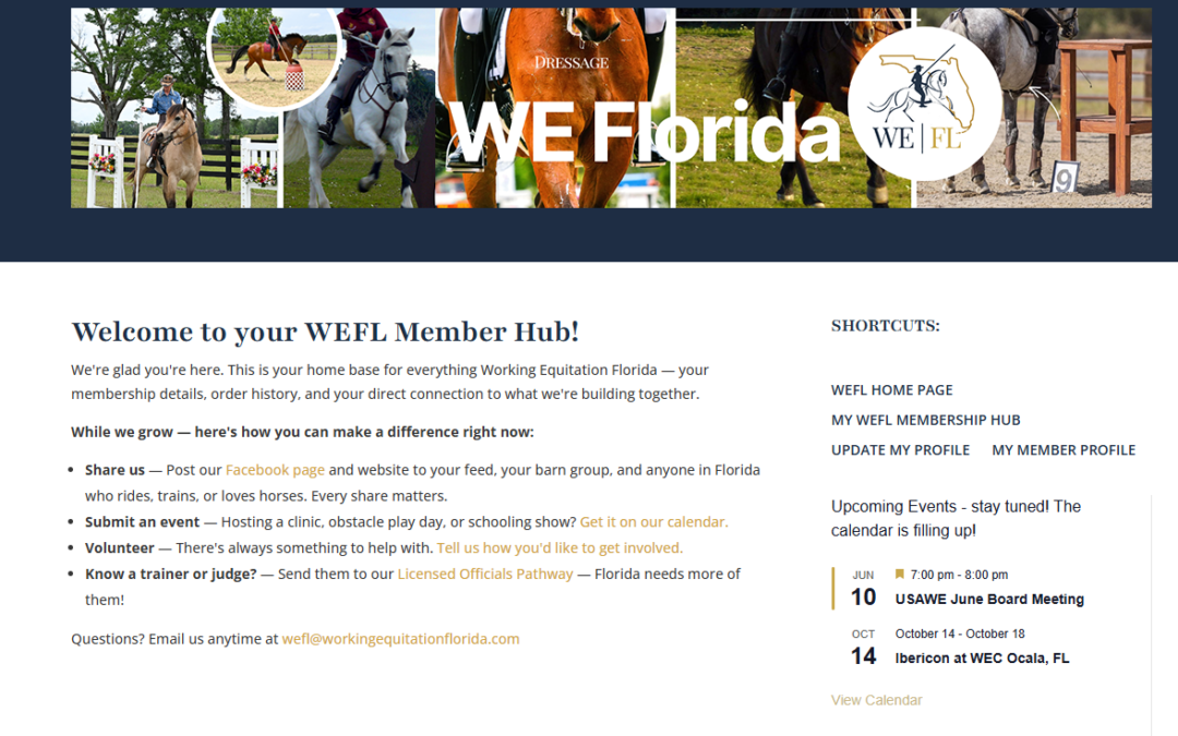 How to access Members Hub