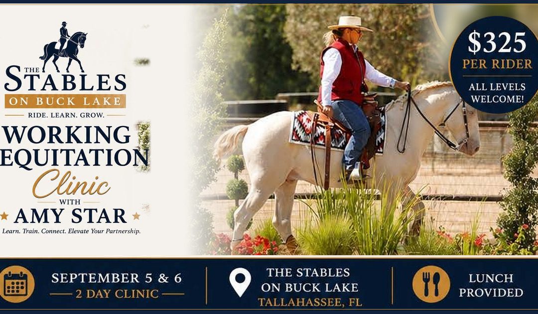 Working Equitation Clinic with Amy Star USSAWE “S” Judge
