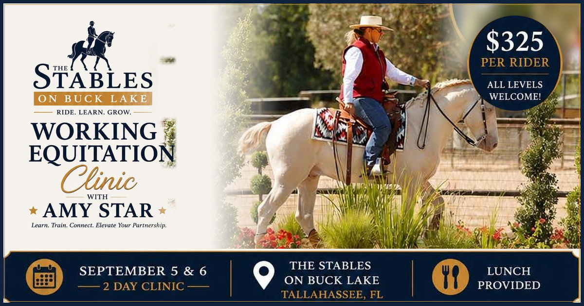 The Stables on Buck Lake Presents A Working Equitation Clinic with Amy Star USAWE "S" Judge